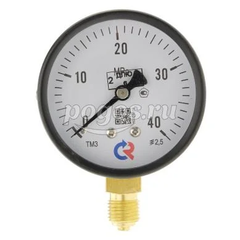 Манометр ТМ-310Р.00 (0...40 МРа) G 1/4: кл.точ.-2,5  РОСМА