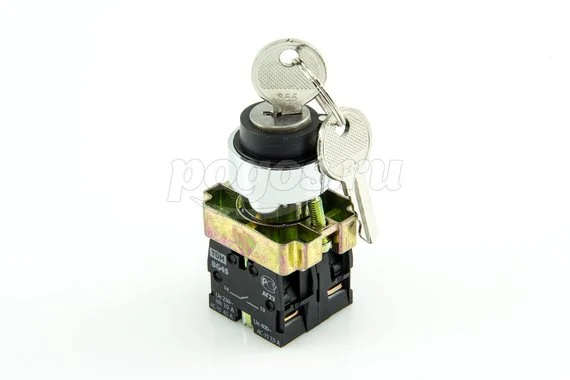 Переключатель BG45, 2 пол ключ, черн.1з+1р TDM