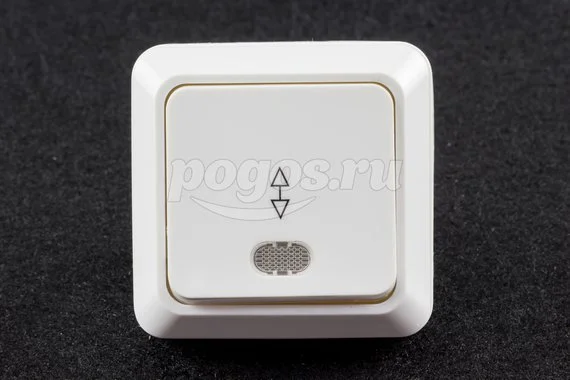 Переключатель 1кл на 2 напр.10А 230В TDM с подсв.