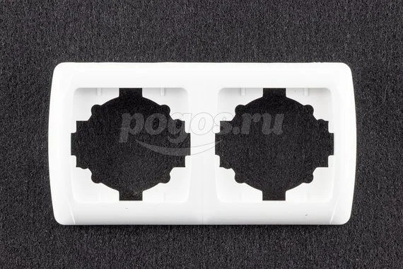 Рамка 2п горизонтальная Онега TDM