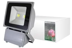 Прожектор светодиодный 100W 6500К СДО100-1 TDM