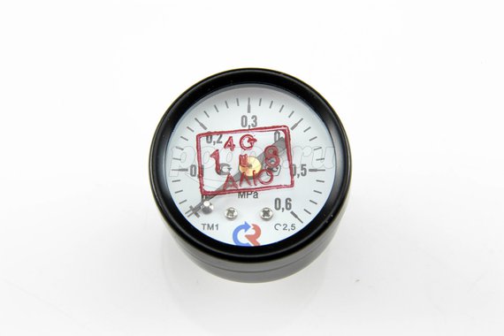 Манометр РОСМА ТМ-110Т.00 М10х1
