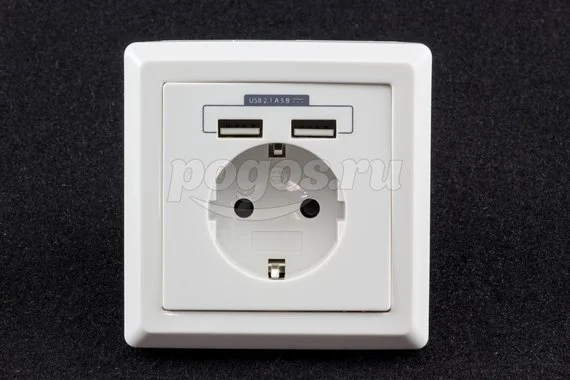 Розетка 1ая с/з 16А 250В 2хUSB Сенеж-2 TDM