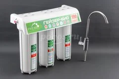 Фильтр ГЕЙЗЕР Био 66024 стационарный