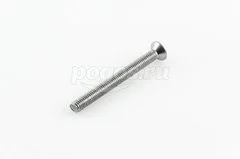 Винт для сифона М6x60