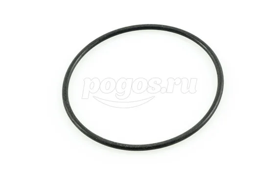 Кольцо уплотнительное для AQUATAK 110 PLUS BOSCH