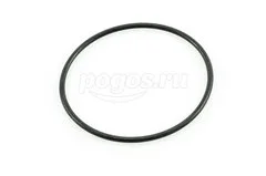 Кольцо уплотнительное для AQUATAK 110 PLUS BOSCH