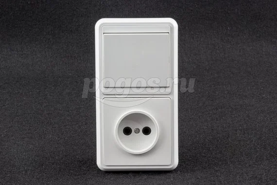 Блок комбинированный БКВР 1-но кл. выкл + розетка 2П с з/ш TDM