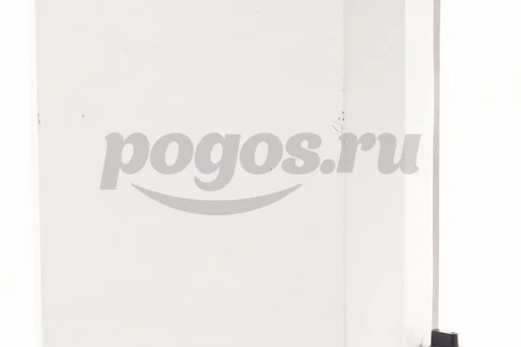 Водонагреватель 1.25кВт ЭВН-25 ДАЧНИК МИСТЕР ХИТ