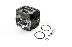 Поршневая группа в сборе d-40мм для бензотрим.43сс  SPECTRUM/AEZ