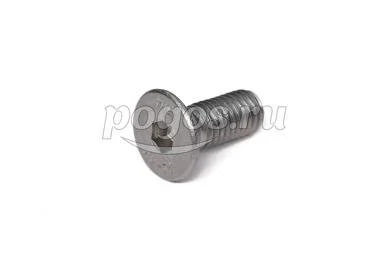 Винт потай М 8* 20 с внутренним шестигранником нерж А2  DIN 7991