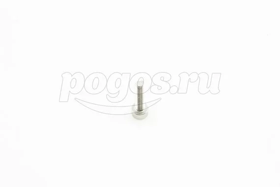 Винт цилиндр.головка М 5* 20 внутренний шестигранник нерж А2 DIN 912 /50/