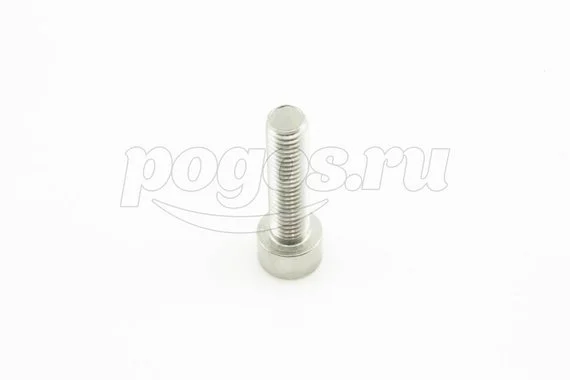 Винт цилиндр.головка М10* 40 внутренний шестигранник нерж А2 DIN 912 /50/