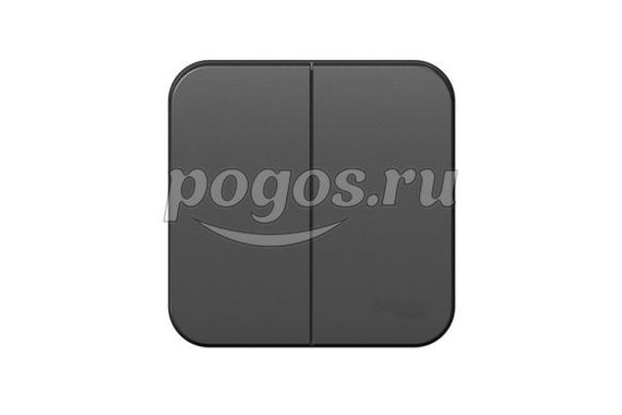 Выключатель о/у 2-клавишный 10A Blanca антрацит  Schneider Electric
