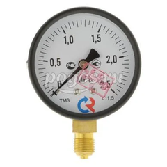 Манометр ТМ-310Р.00 (0...2,5 МРа) G 1/4: кл.точ.-1,5  РОСМА