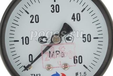 Манометр ТМ-310Р.00 (0...60 МПа) G 1/4: кл.точ.-1,5  РОСМА