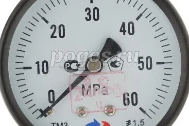 Манометр ТМ-310Р.00 (0...60 МПа) G 1/4: кл.точ.-1,5  РОСМА