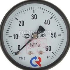 Манометр ТМ-310Р.00 (0...60 МПа) G 1/4: кл.точ.-1,5  РОСМА