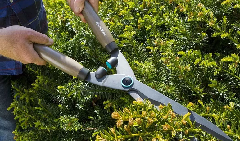 c87fe50b5001fcd3fbc873763ed36476