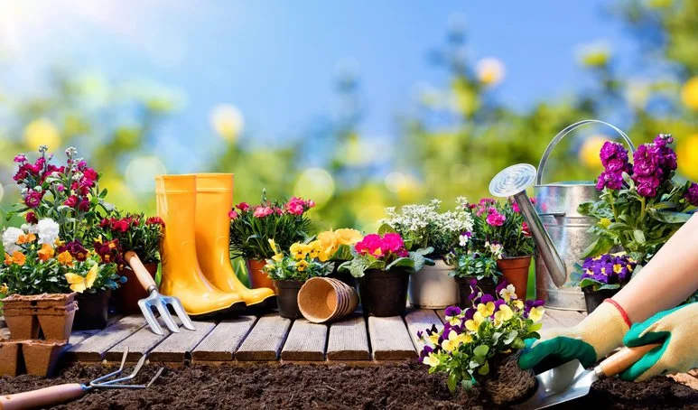 come-curare-il-giardino-in-primavera