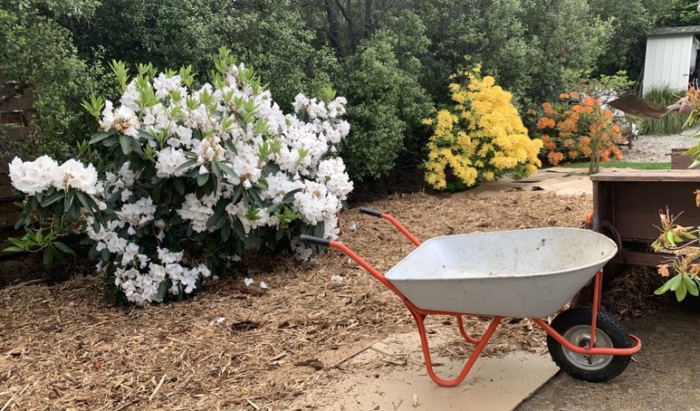 d98d16a75f33aaf9b18a494f982c87df3036acc0