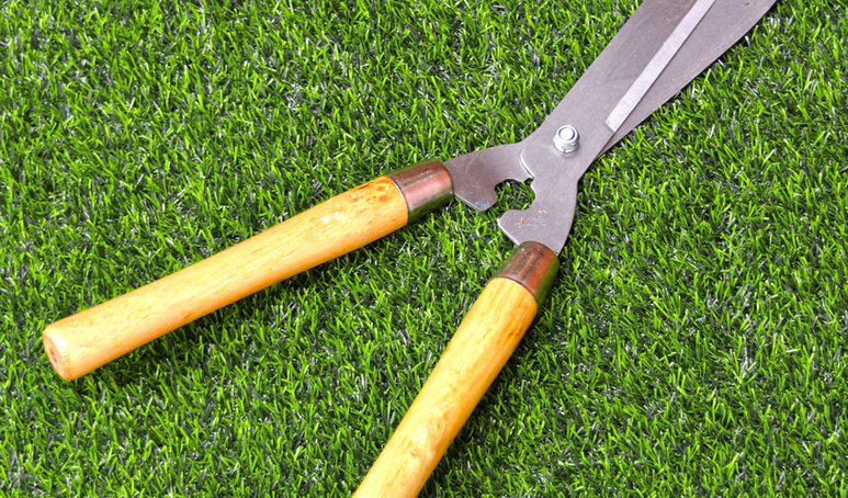 shop_items_catalog_image235869