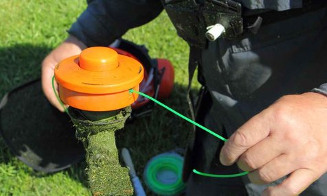 shutterstock_1405261148