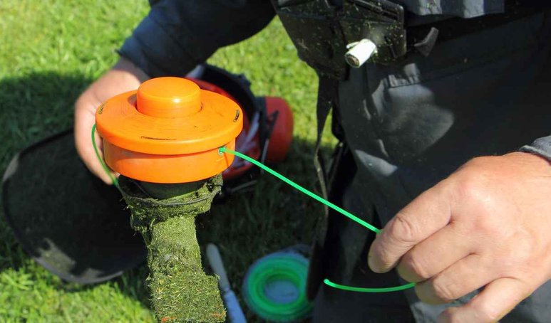 shutterstock_1405261148