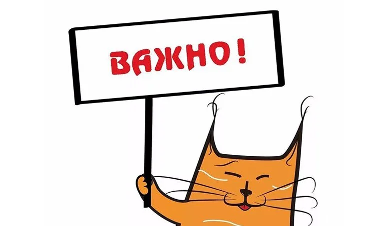 важно5.jpg